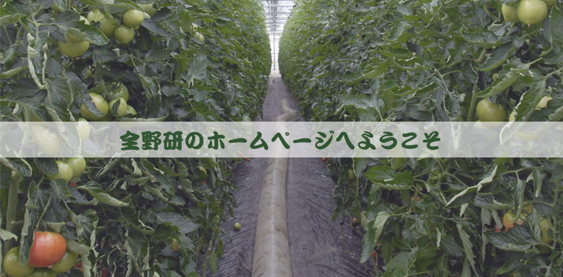全国野菜園芸技術研究会のホームページへようこそ|全国野菜園芸技術研究会は、野菜園芸の経営と栽培技術の研究、普及、振興している全国の野菜園芸生産者の組織です。
